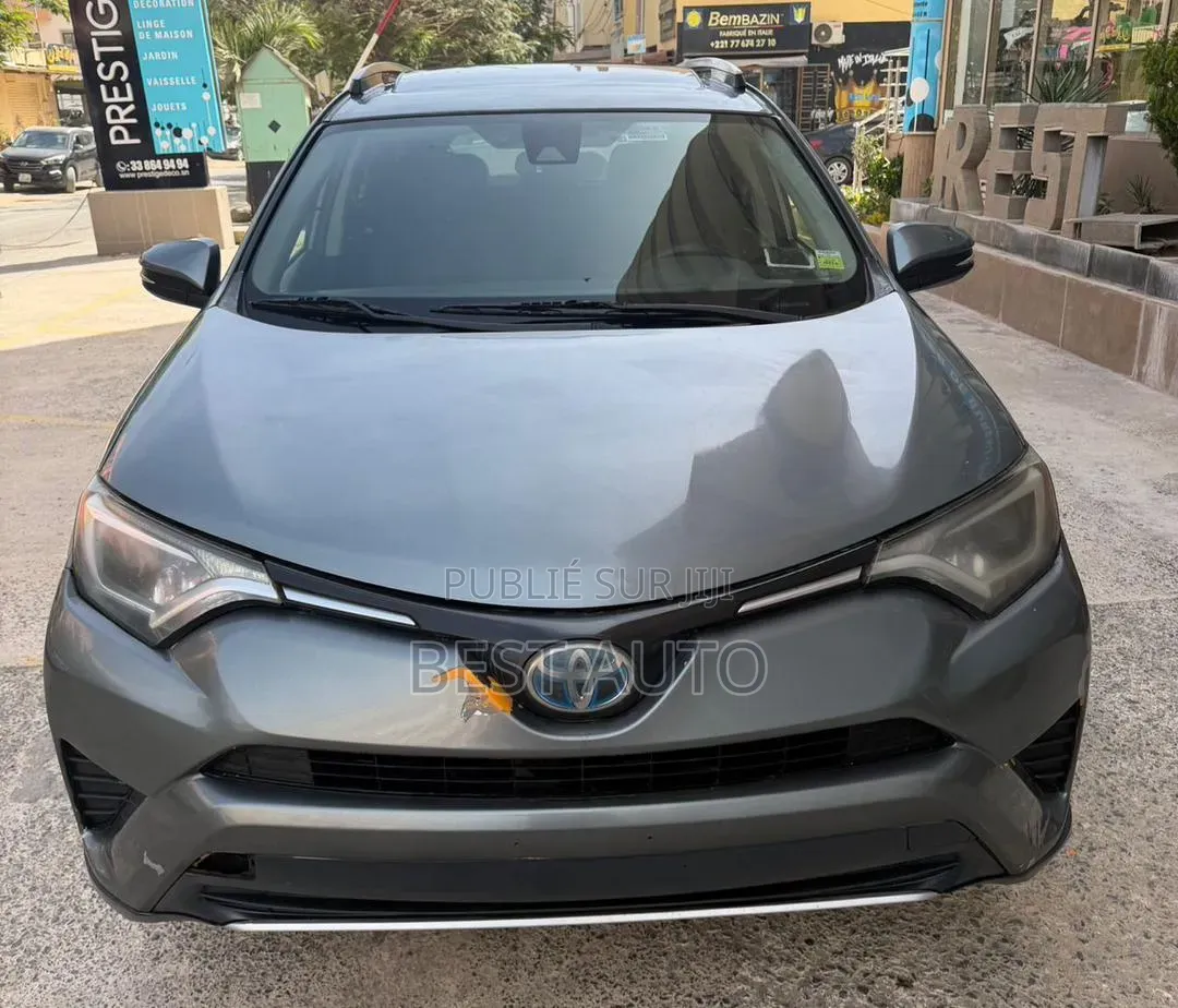 Toyota RAV4 2017 Gris