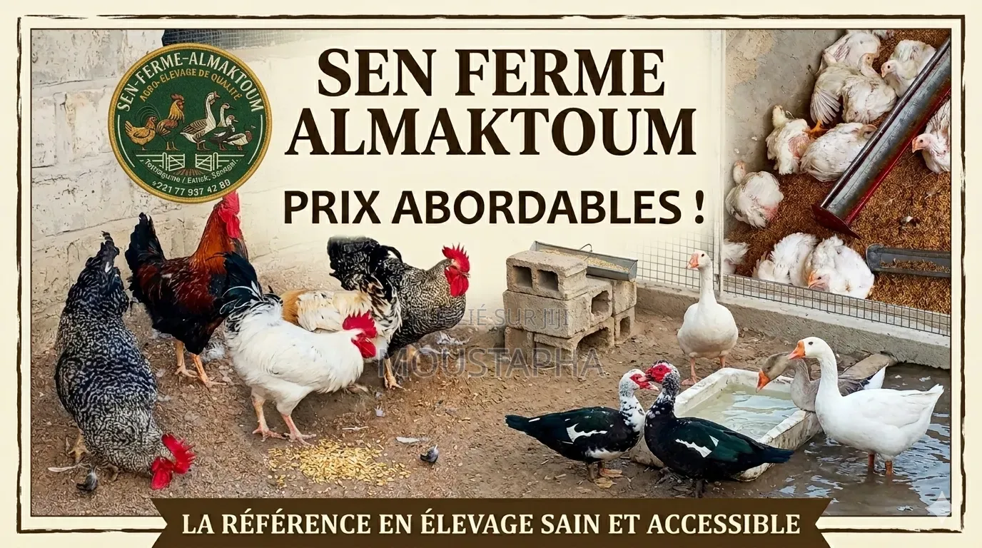 Ferme Almaktoum