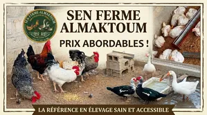 Ferme Almaktoum
