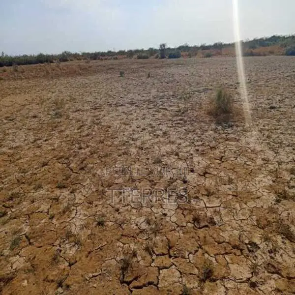 Terrain Agricole De 25 Hectares Vers Diama – Saint – Louis