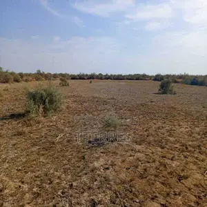 Terrain Agricole De 25 Hectares Vers Diama – Saint – Louis