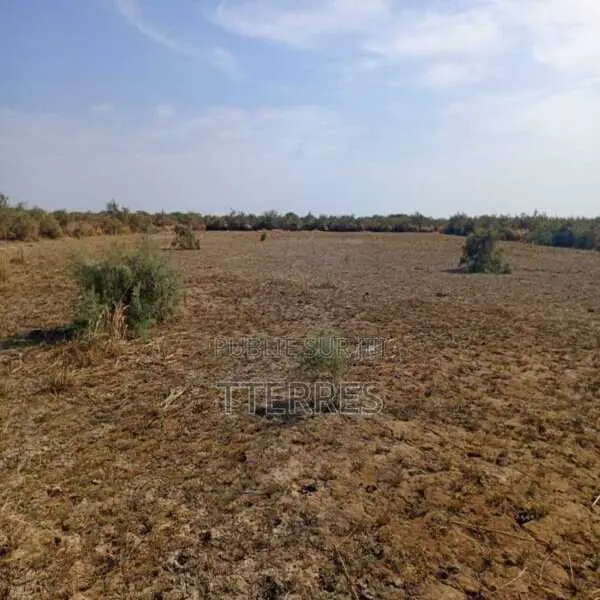 Terrain Agricole De 25 Hectares Vers Diama – Saint – Louis