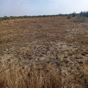 Terrain Agricole De 25 Hectares Vers Diama – Saint – Louis