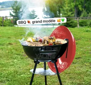 Barbecue Grand Modèle