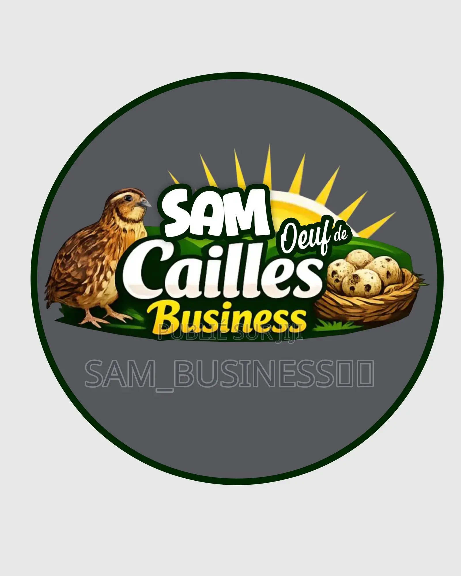 Œufs De Cailles