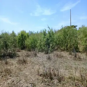 Terrain Agricole 4,29 Ha Stratégiques Vers Diama – Saint-Louis