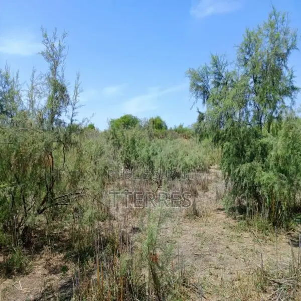Terrain Agricole 4,29 Ha Stratégiques Vers Diama – Saint-Louis