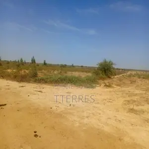 Terrain Agricole De 13 Hectares Vers Diama – Saint-Louis