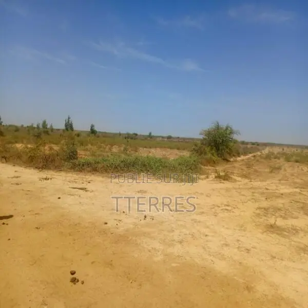 Terrain Agricole De 13 Hectares Vers Diama – Saint-Louis