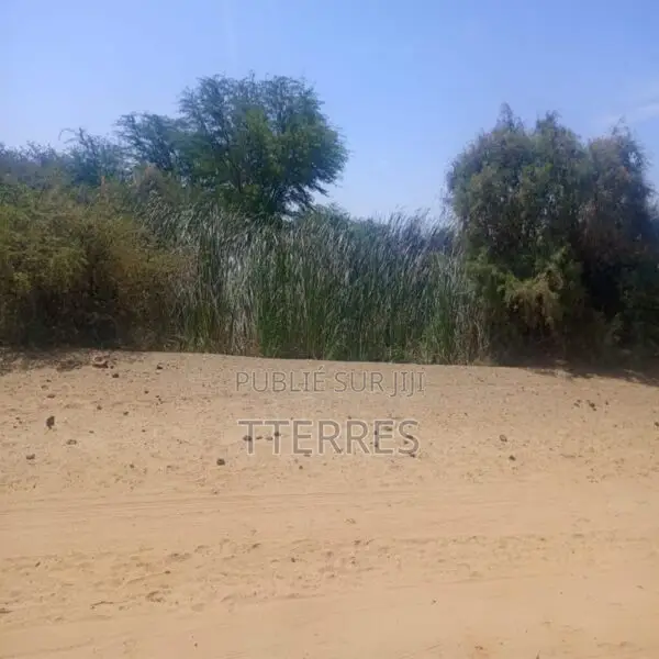 Terrain Agricole De 13 Hectares Vers Diama – Saint-Louis