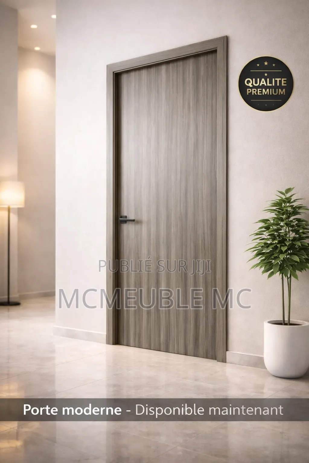Porte en Mélaminé Moderne