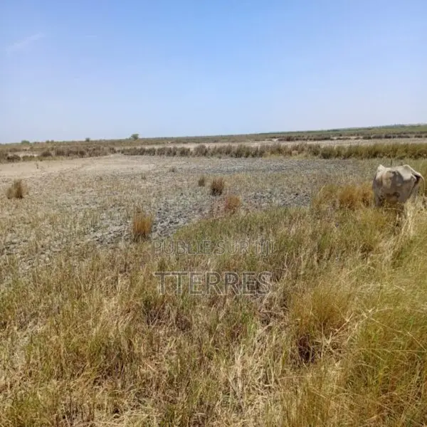 Terrain Agricole De 2,13 Hectares Vers Diama – Saint-Louis