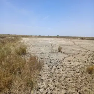 Terrain Agricole De 2,13 Hectares Vers Diama – Saint-Louis