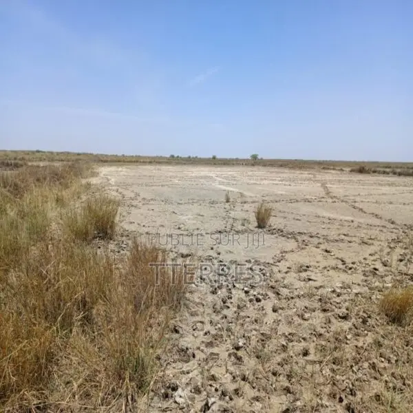 Terrain Agricole De 2,13 Hectares Vers Diama – Saint-Louis