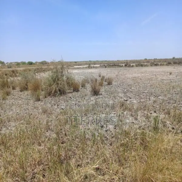 Terrain Agricole De 2,13 Hectares Vers Diama – Saint-Louis