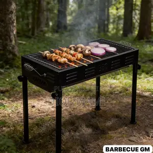 Barbecue Très Pratique Grand Modèle