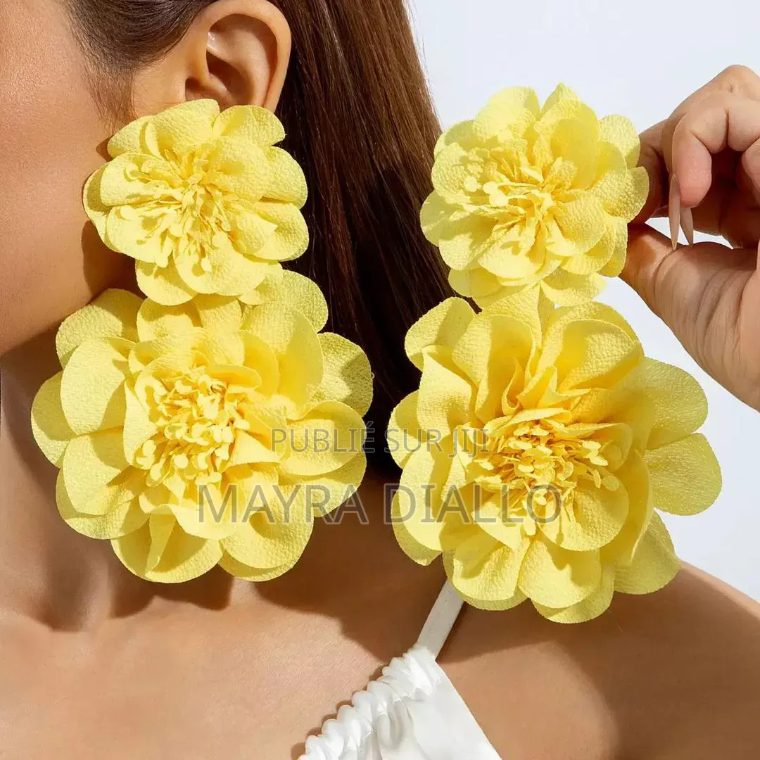 Boucles d'Oreilles