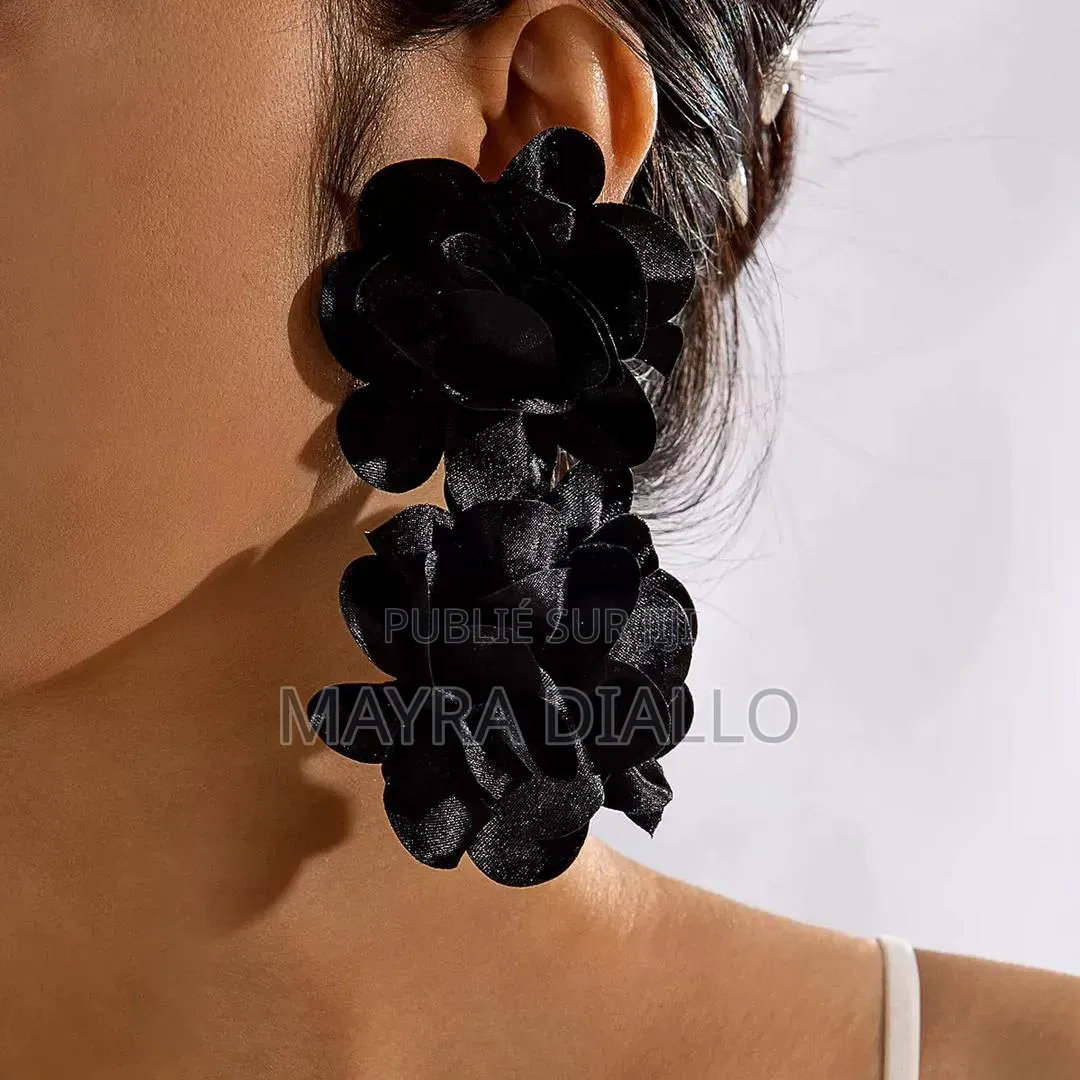 Boucles d'Oreilles