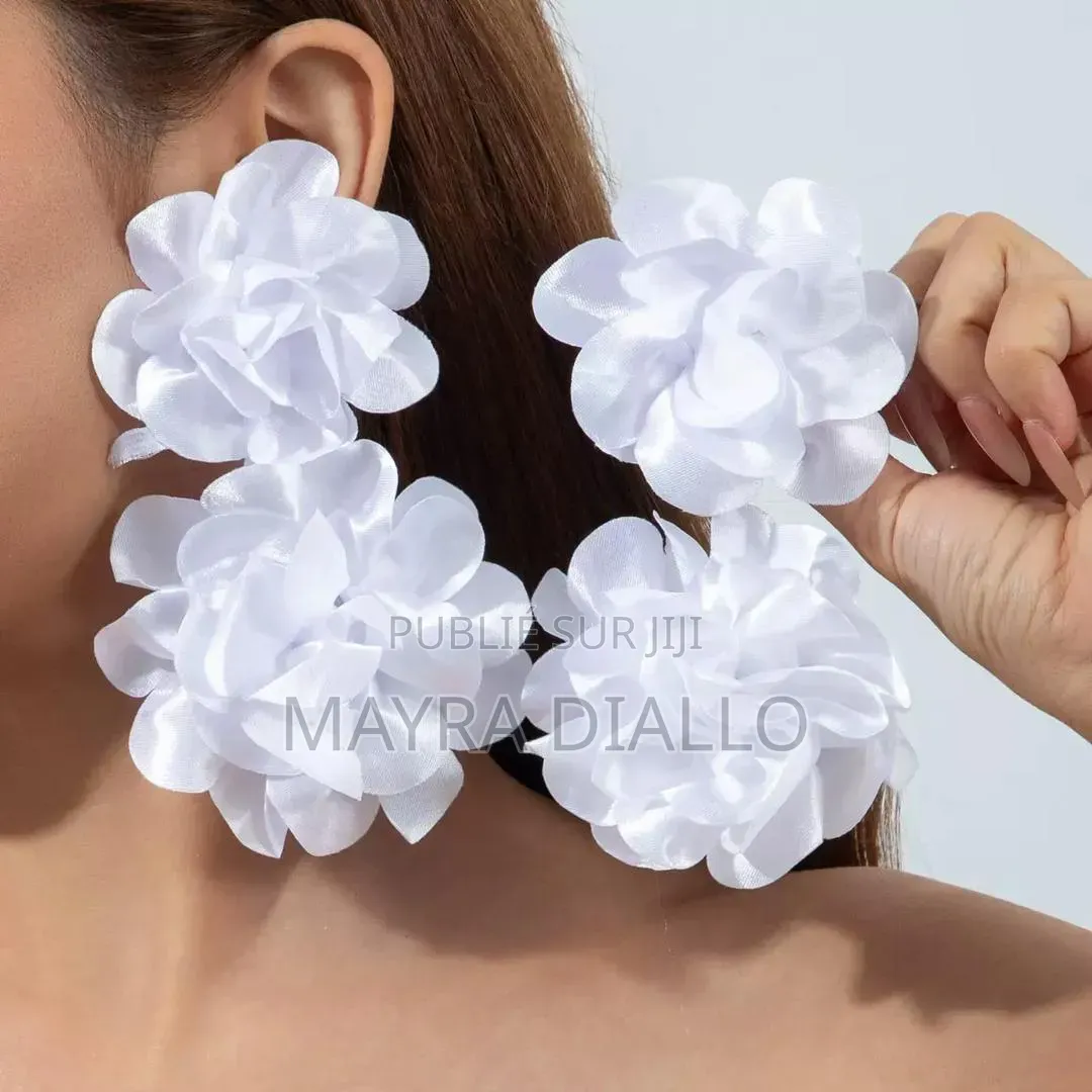 Boucles d'Oreilles