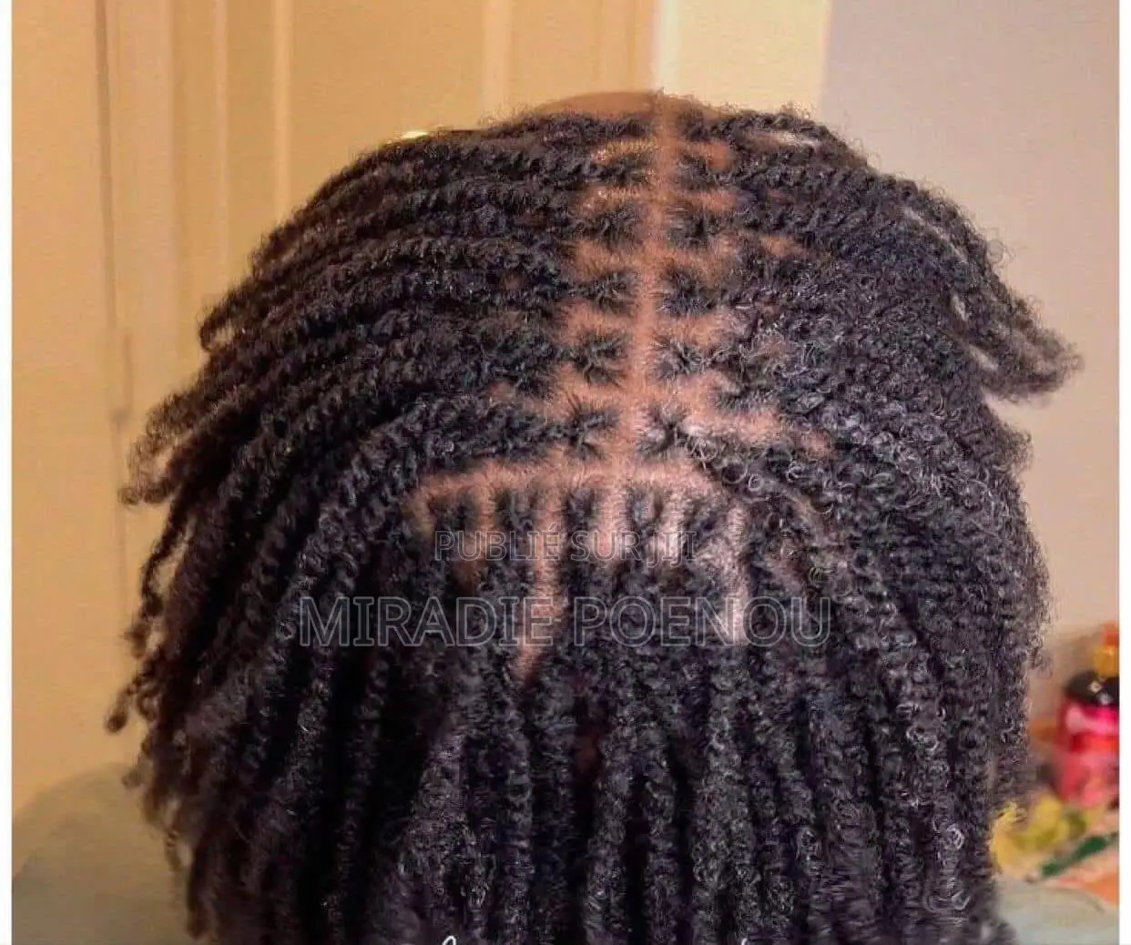 Coiffure Locks