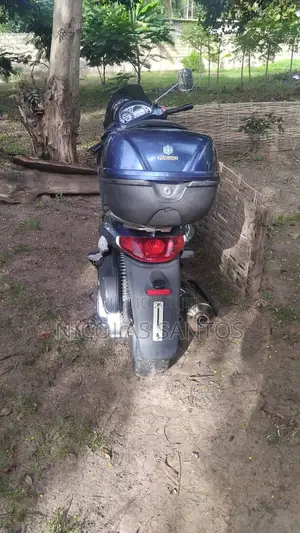 Piaggio Trotinette 2013 Bleu