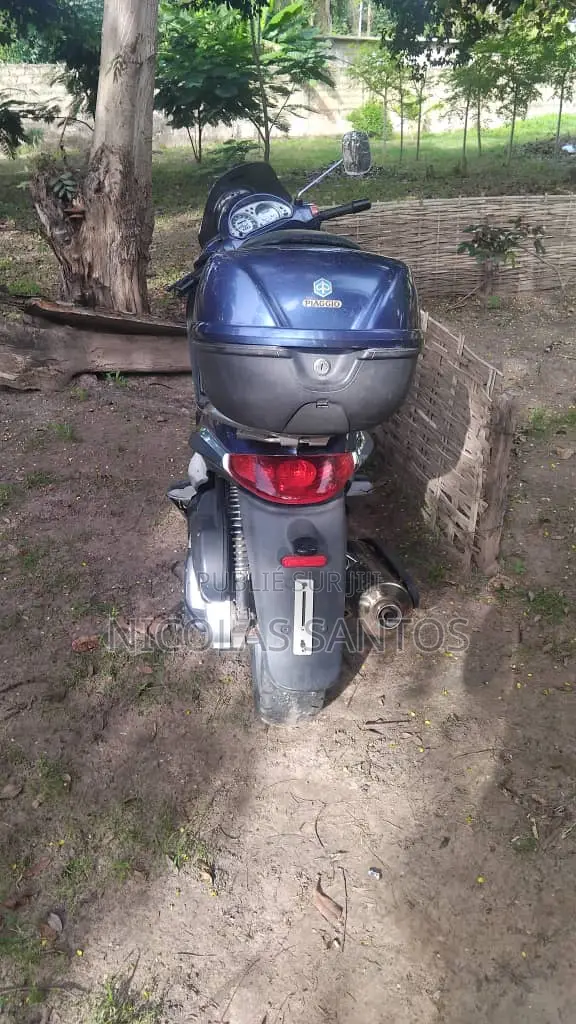 Piaggio Trotinette 2013 Bleu