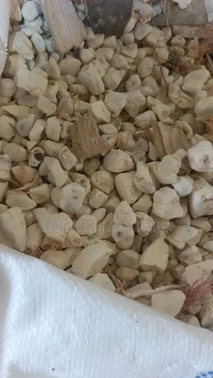 Patte d'Arachide