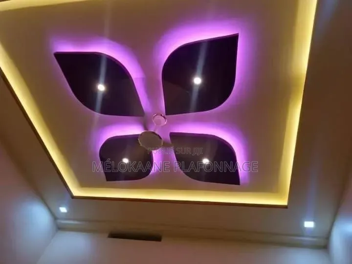 Faux Plafond Plâtre Ba13