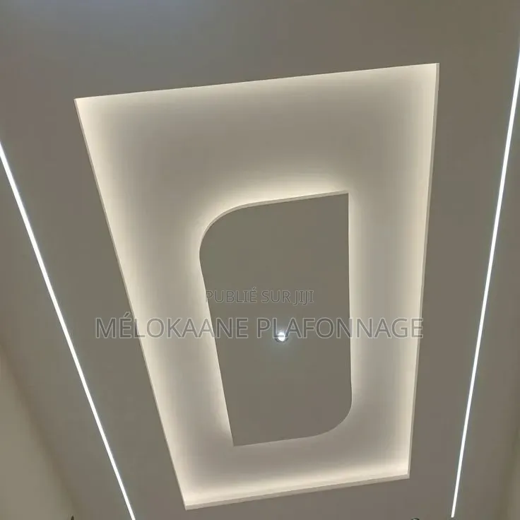 Faux Plafond Plâtre Ba13