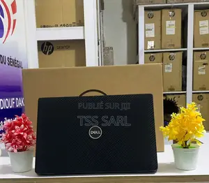 Ordinateur portable Dell Latitude 7410 8GB Intel Core i7 SSD 256GB