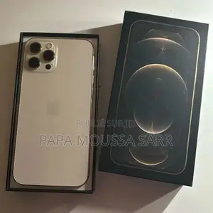 Nouveau Apple iPhone 12 Pro Max 128 GB Argenté