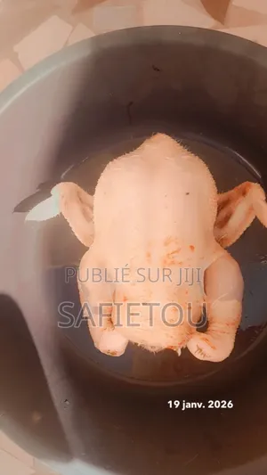 Poulet De Chair