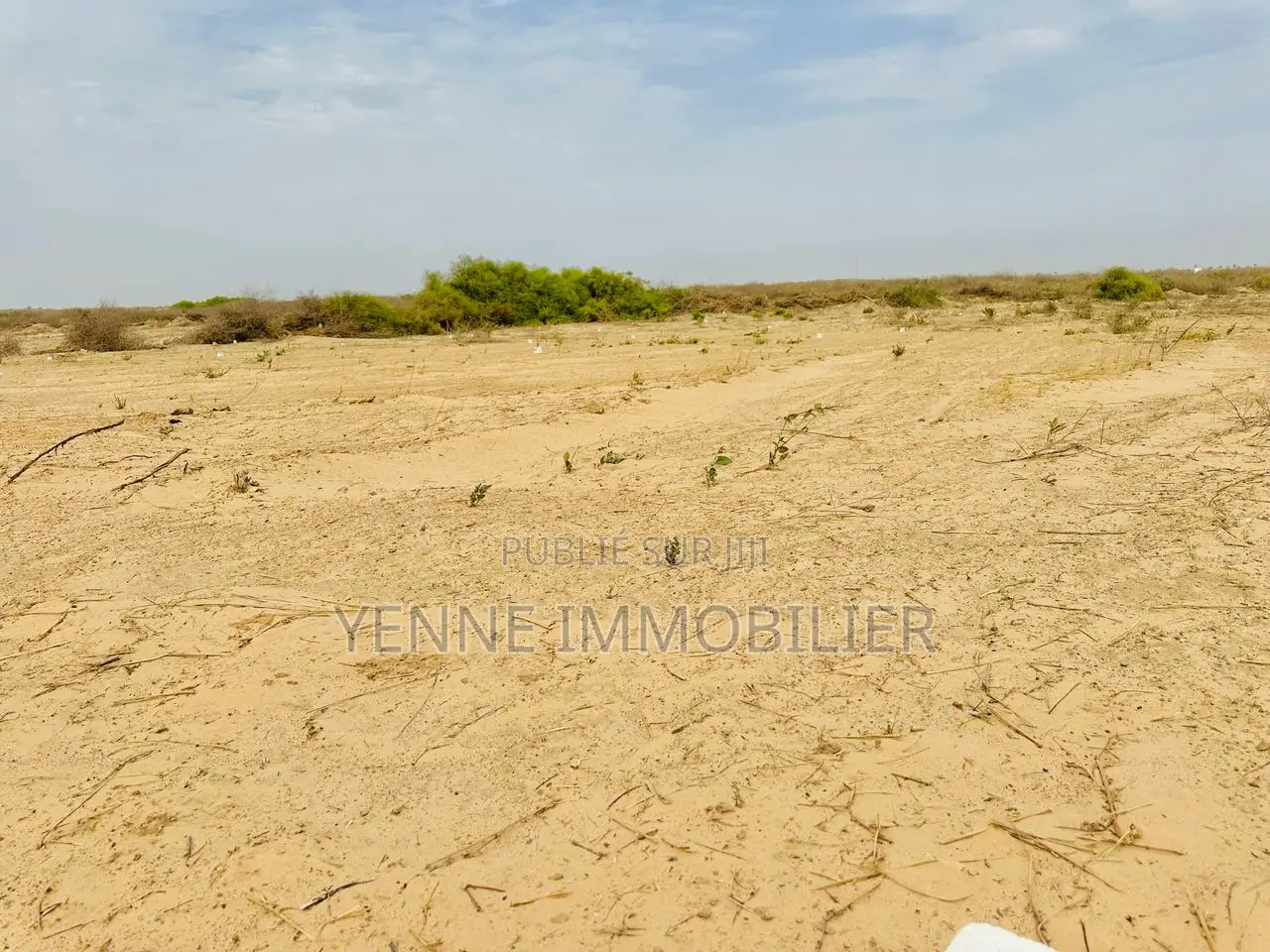 Terrain a Vendre Yenne Niayes Khayes