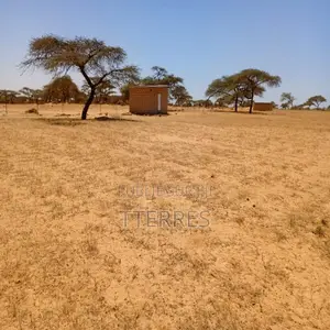 Verger De 2,82 Hectares Vers Gandon – Saint-Louis