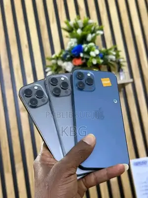 Nouveau Apple iPhone 12 Pro Max 256 GB Bleu