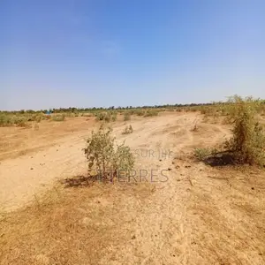 Terrain Agricole De 20 Hectares Vers Tassette – Thiès