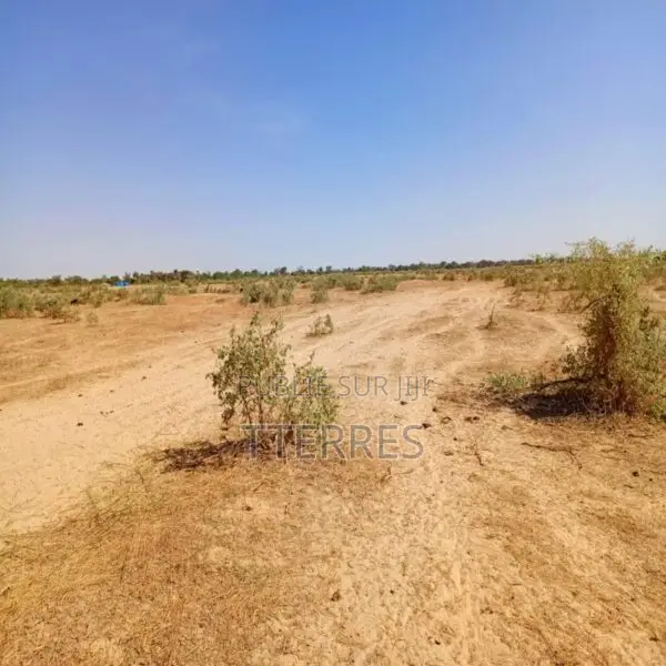 Terrain Agricole De 20 Hectares Vers Tassette – Thiès