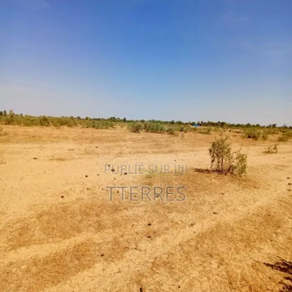 Terrain Agricole De 20 Hectares Vers Tassette – Thiès