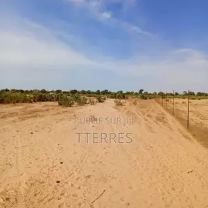 Terrain Agricole De 20 Hectares Vers Tassette – Thiès