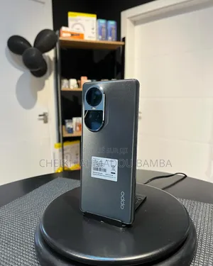 Nouveau Oppo Reno 10 5G 256 GB Gris