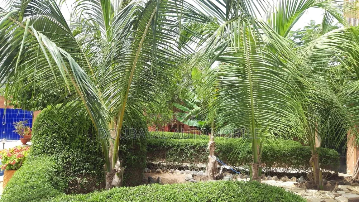 5chbre Villa dans Somone, Thiès Sud à Vendre