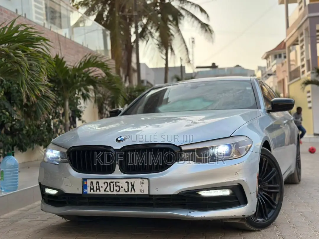 BAW BJ2020 2017 Gris
