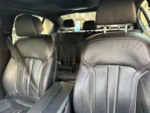 BAW BJ2020 2017 Gris
