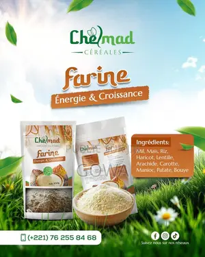 Farine Enrichie Aux Légumes