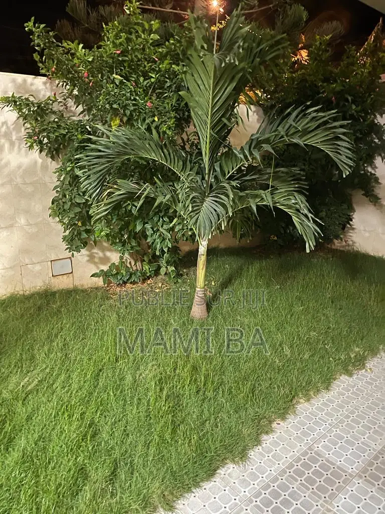 Meublé 8chbre Villa dans Almadie, Almadies à Louer