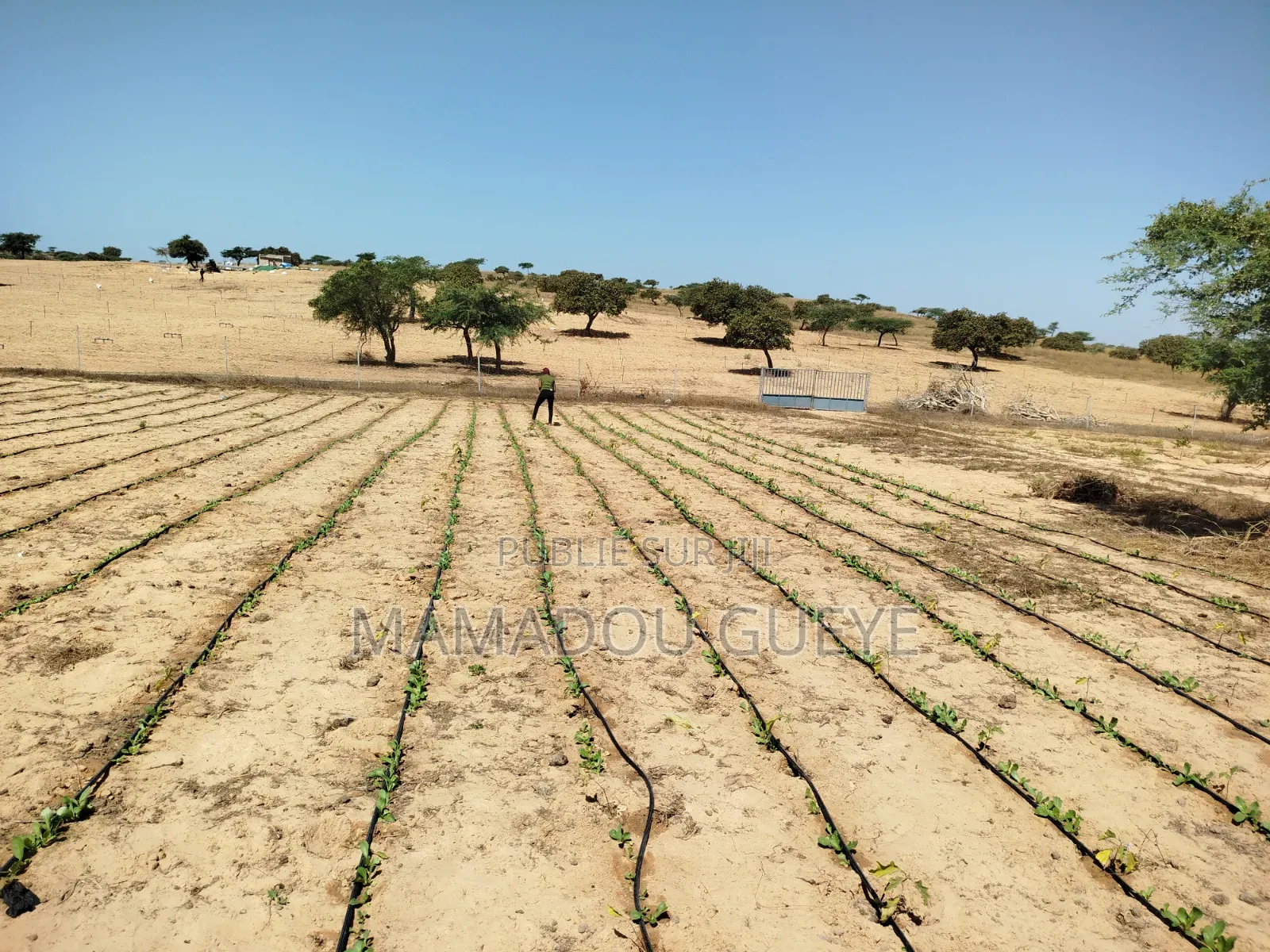Système d'Irrigation Système Solaire