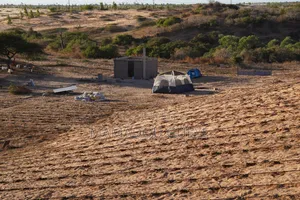 Système d'Irrigation Système Solaire