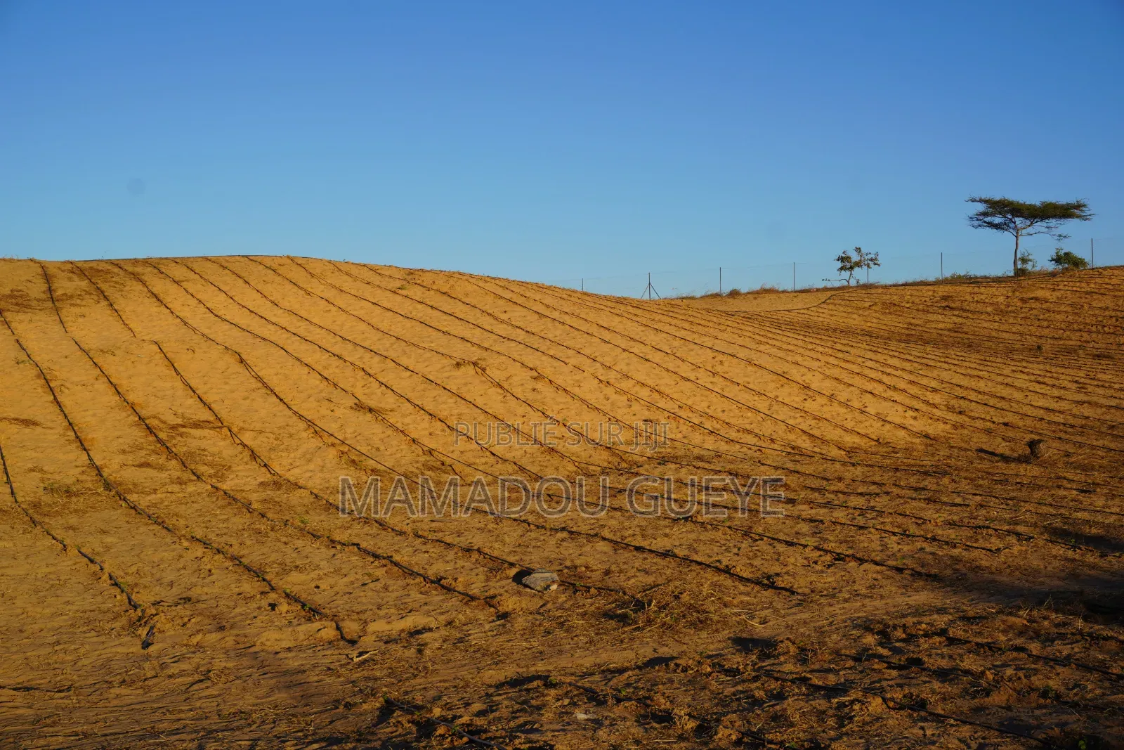 Système d'Irrigation Système Solaire