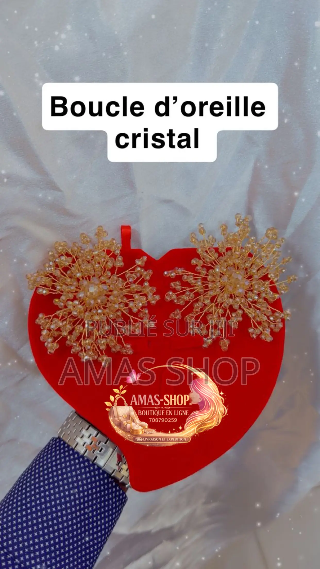 Boucle D’Oreille