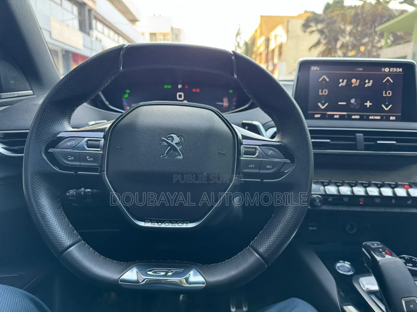 Peugeot 3008 2019 Autre